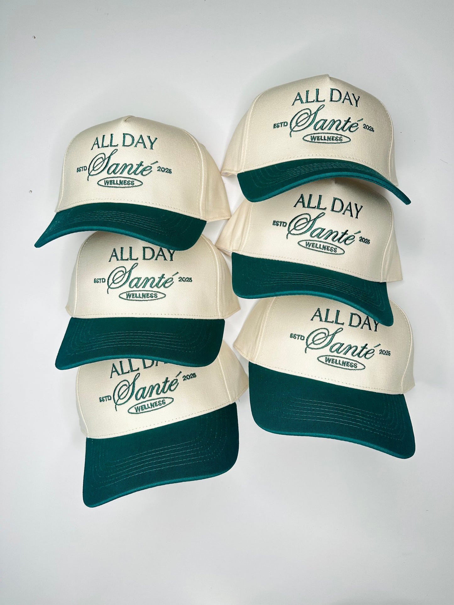 100 hats for wendolyn including everything