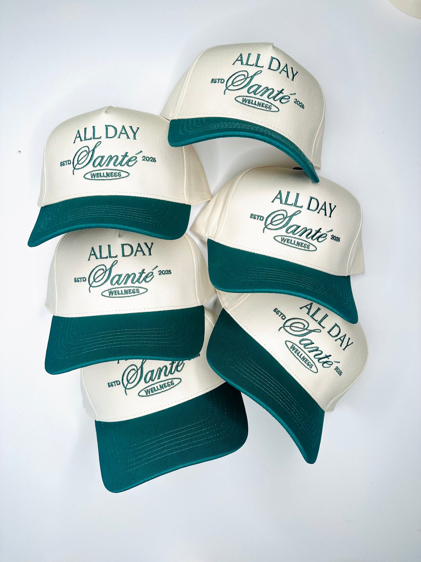 100 hats for wendolyn including everything