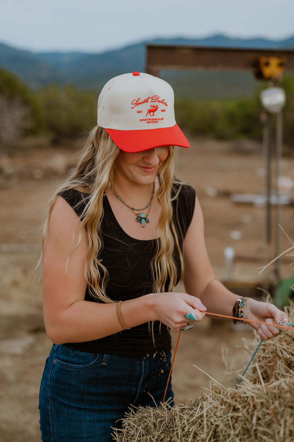 Vintage South Dakota Hat