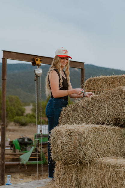 Vintage South Dakota Hat